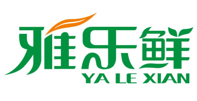 中網科技logo